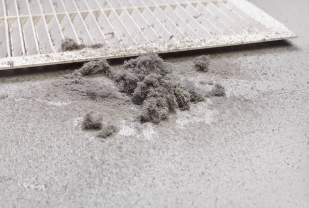 Best Residential Air Duct Cleaning  in Phillipsburg, GA