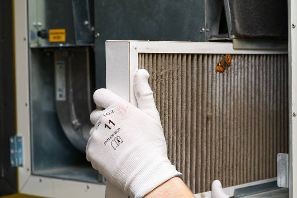 Best Professional Duct Cleaning Services  in Phillipsburg, GA