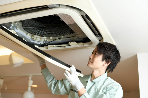 Best Air Duct Mold Removal  in Phillipsburg, GA