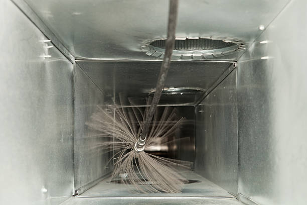 Air Duct Mold Removal in Phillipsburg, GA